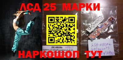 МДПВ Камышлов