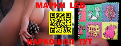дмт Кимры